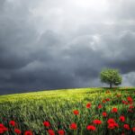 2022-09-14　アメリカ暴落の次日本