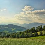 2022-09-13　サボっていました